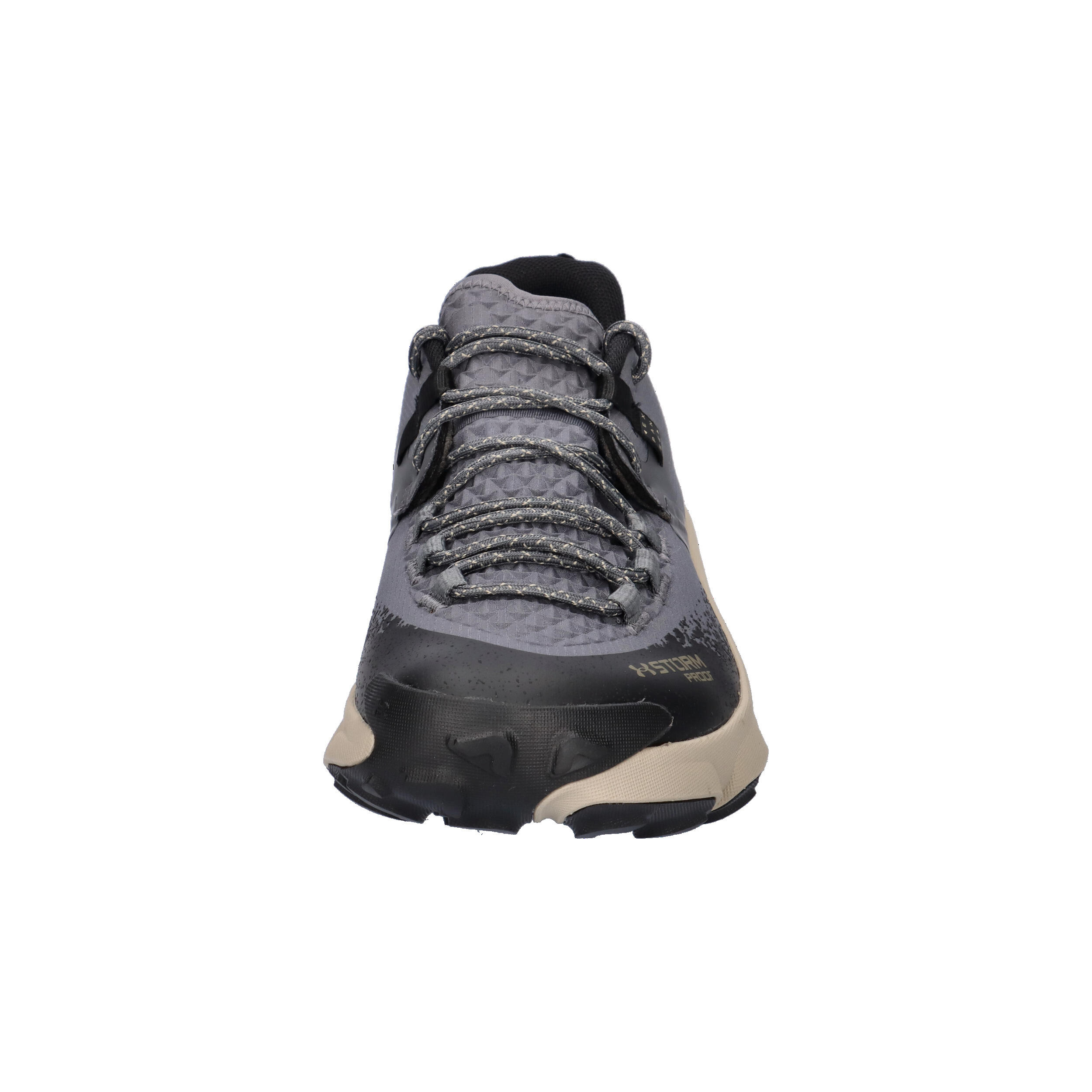 Under Armour Herren Trail Running Schuhe Charged Expanse Low WP 6000768 3/15