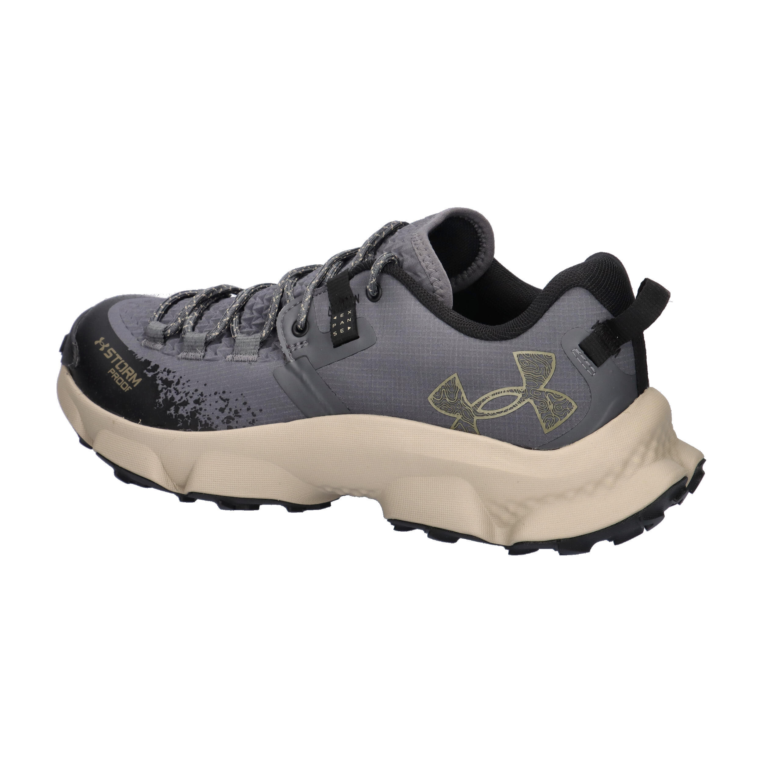 Under Armour Herren Trail Running Schuhe Charged Expanse Low WP 6000768 11/15