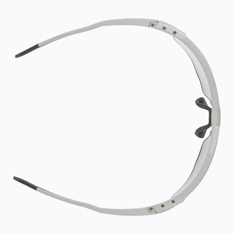 Ochelari de soare Alpina Twist Six Hr V