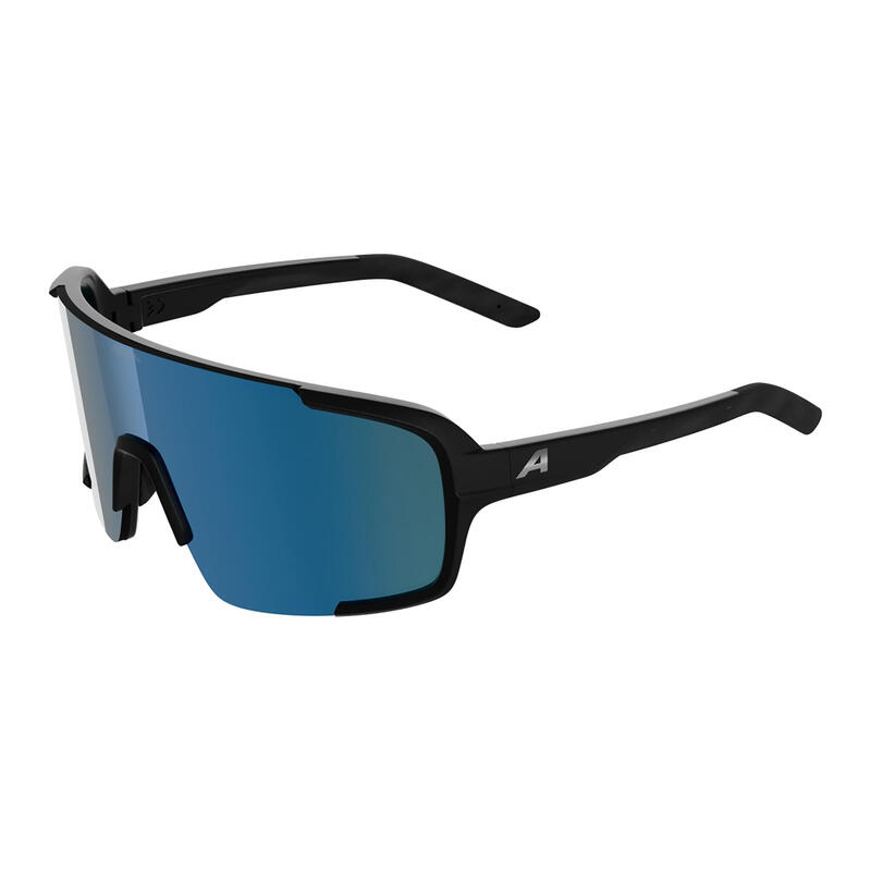 Ochelari de soare Alpina Lumin