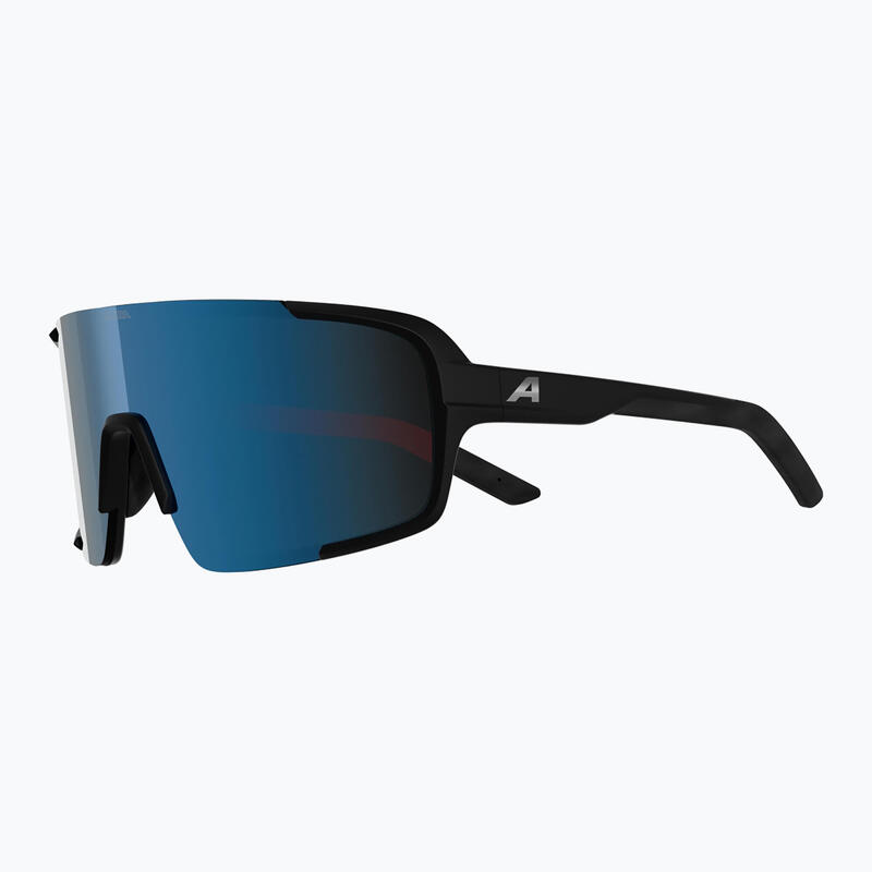 Ochelari de soare Alpina Lumin
