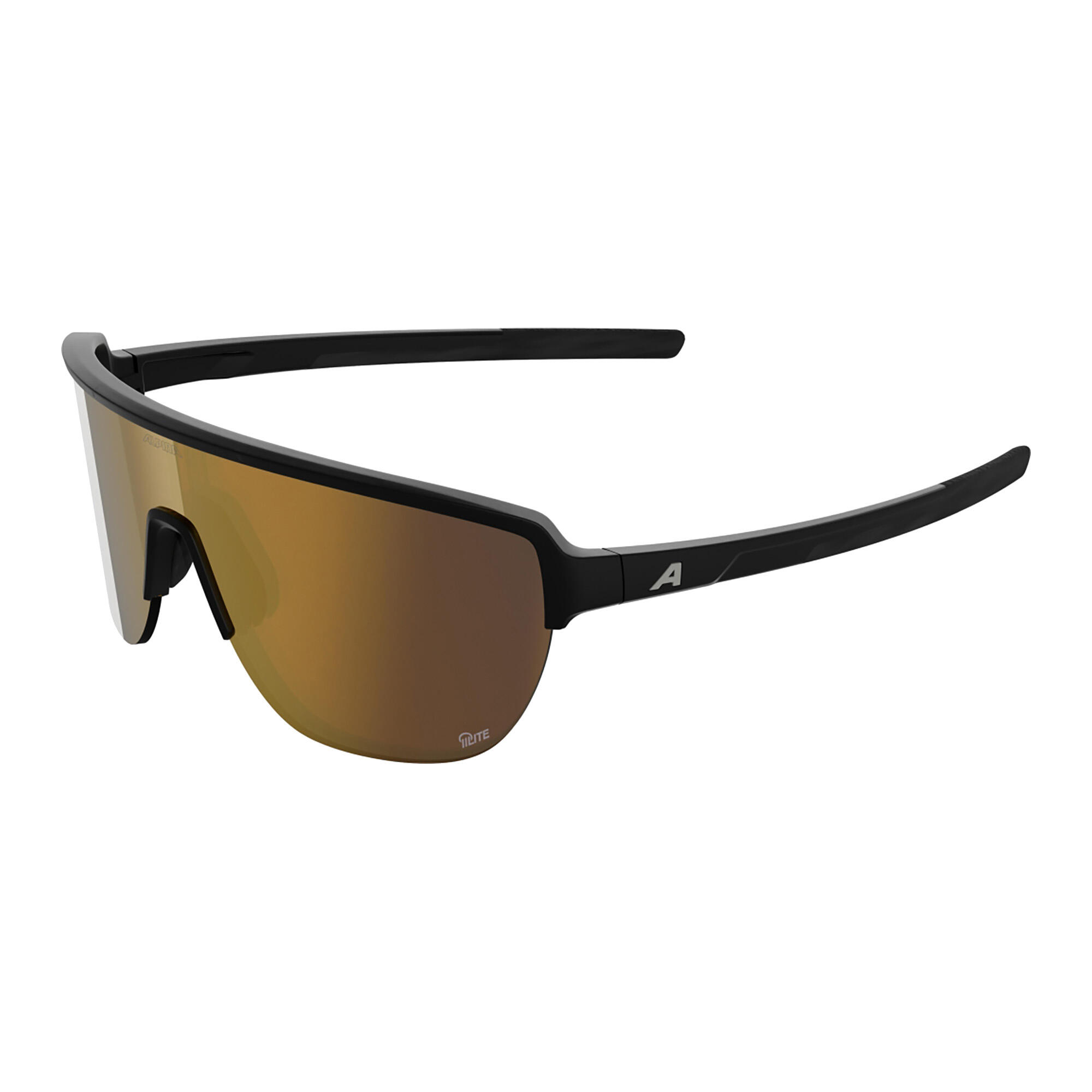 Lunettes de soleil Alpina Ram 2.0 Q-Lite 6/6