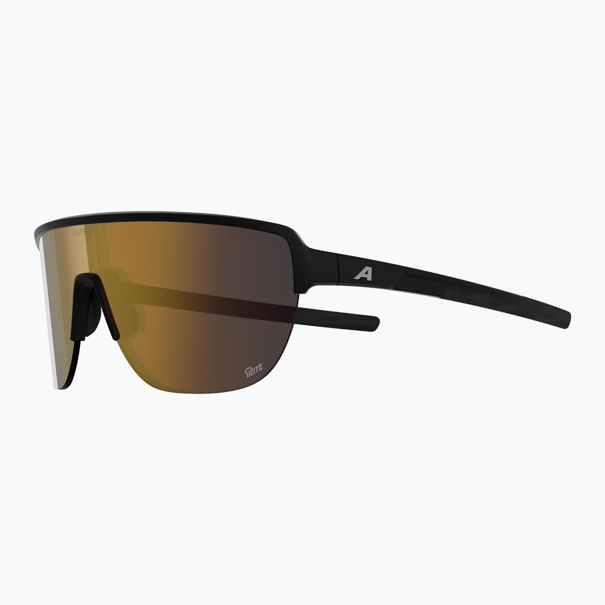 Lunettes de soleil Alpina Ram 2.0 Q-Lite 4/6