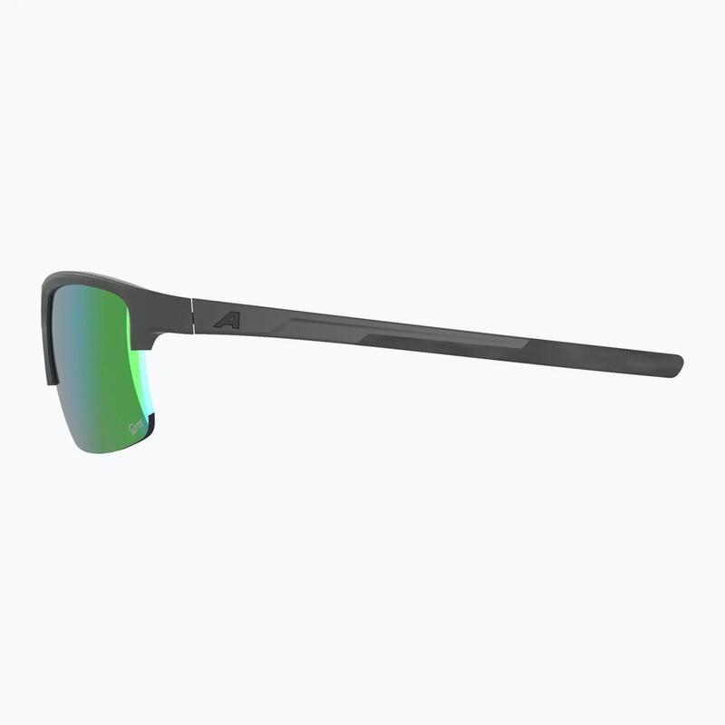 Ochelari de soare Alpina Eagle Q-Lite