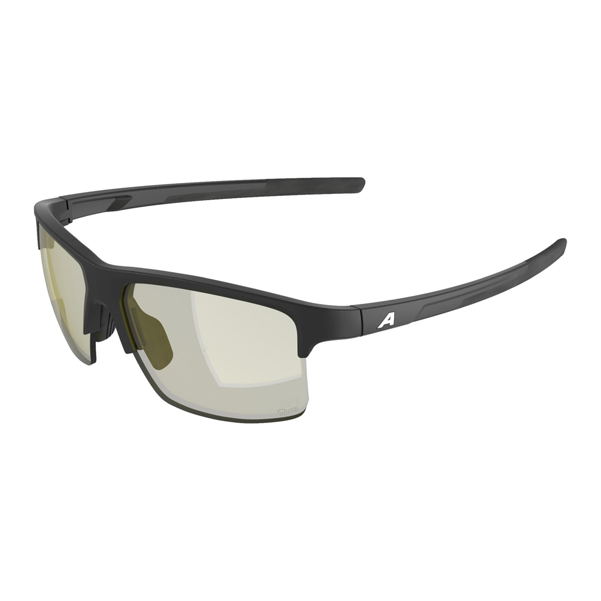 Okulary przeciwsłoneczne Alpina Eagle Q-Lite 6/6