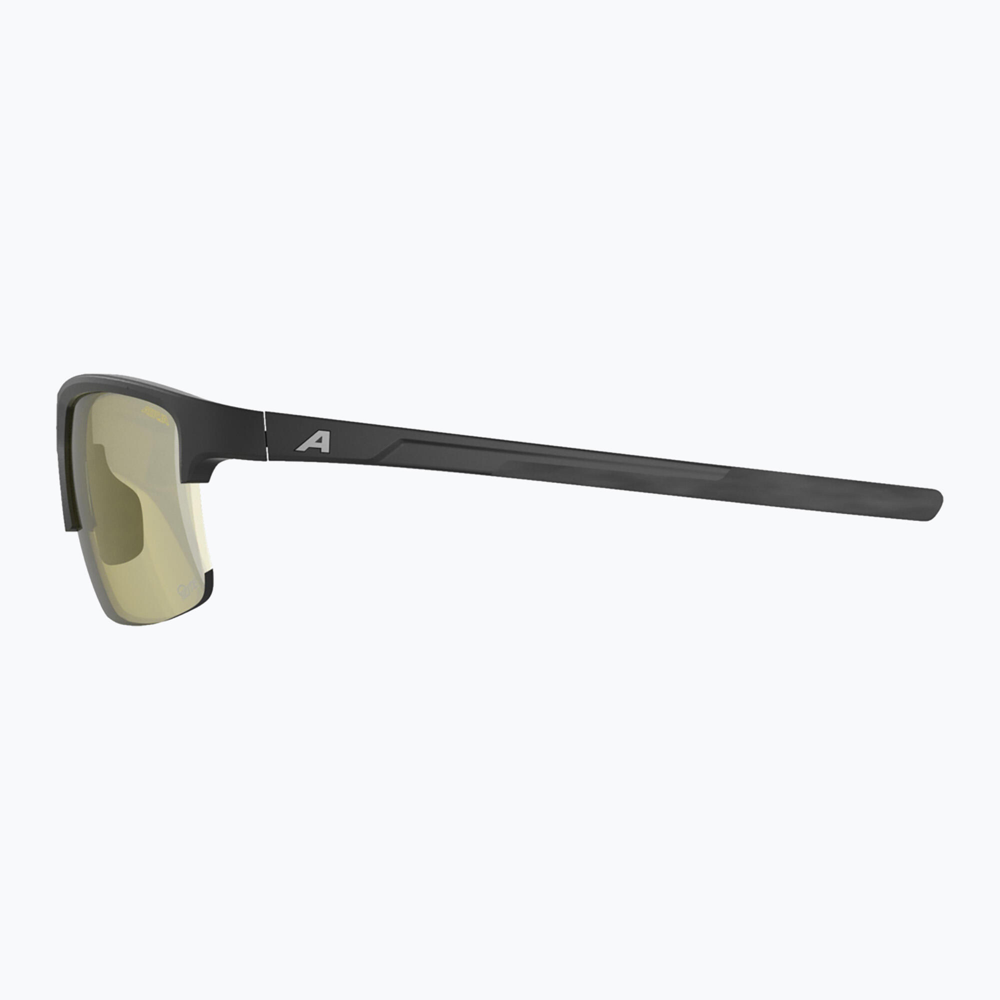 Okulary przeciwsłoneczne Alpina Eagle Q-Lite 5/6