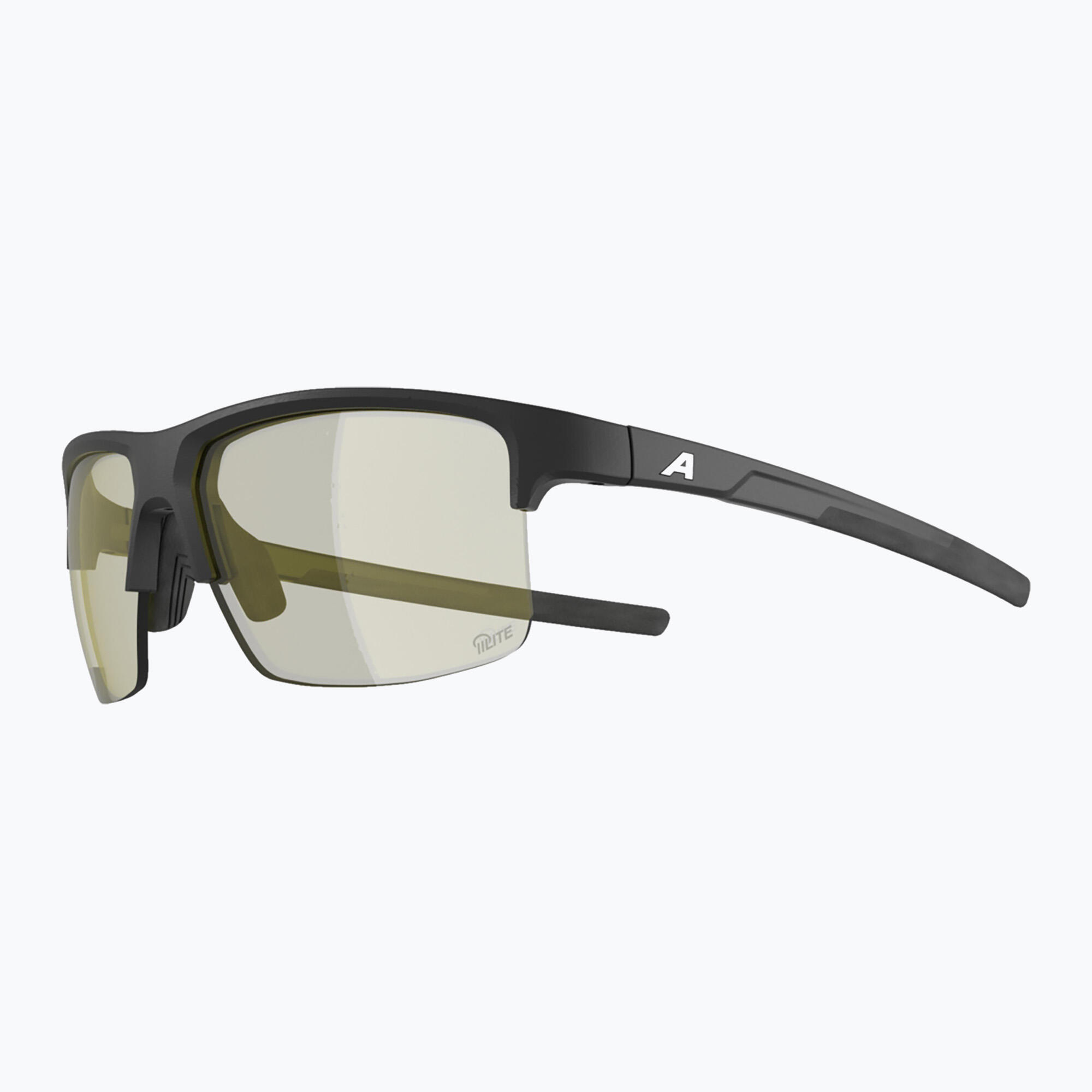 Okulary przeciwsłoneczne Alpina Eagle Q-Lite 3/6