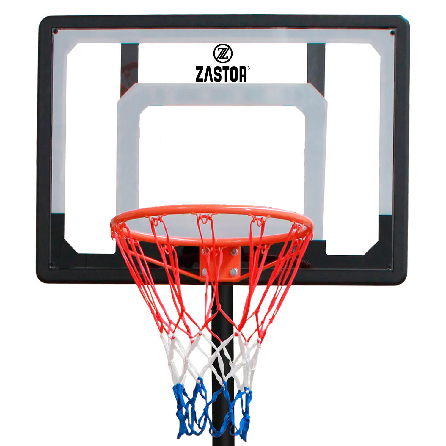 Canasta Baloncesto Trasladable Zastor Raptors 4/5