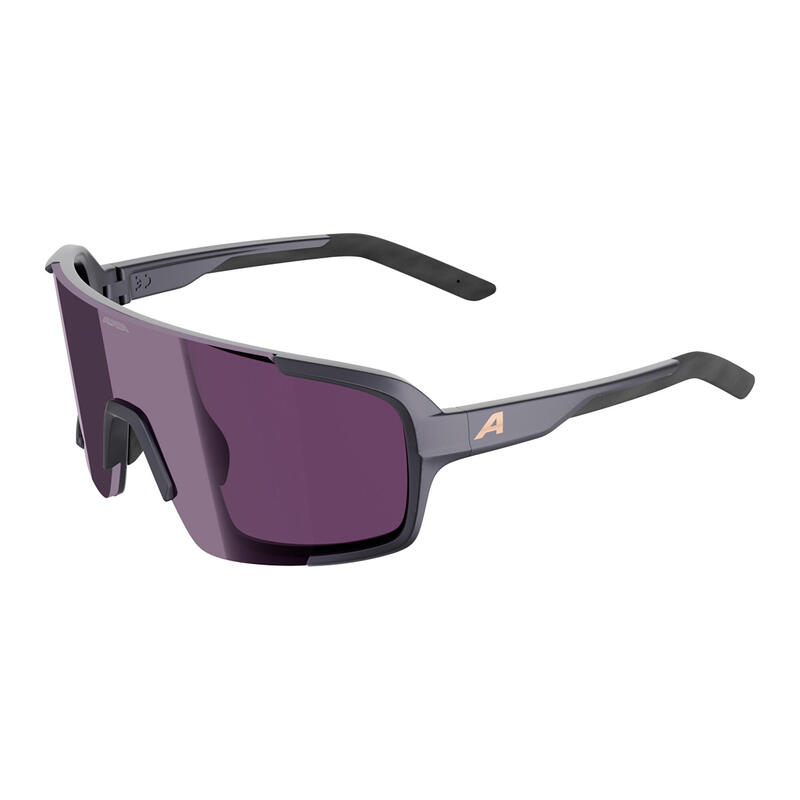 Ochelari de soare Alpina Lumin