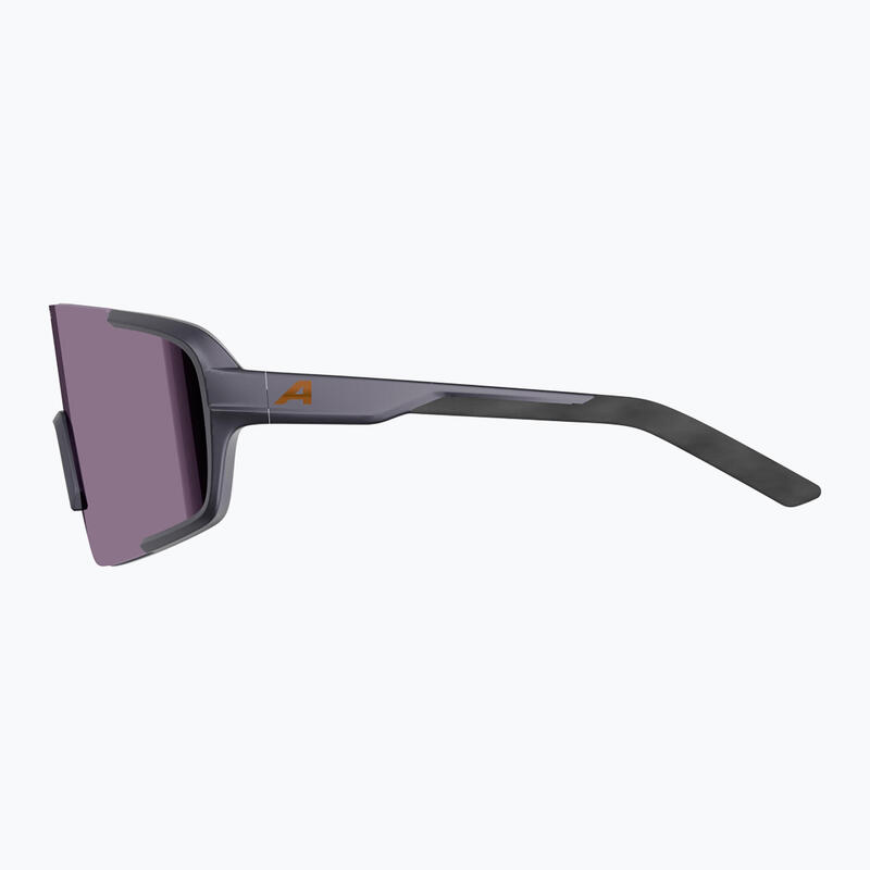 Ochelari de soare Alpina Lumin