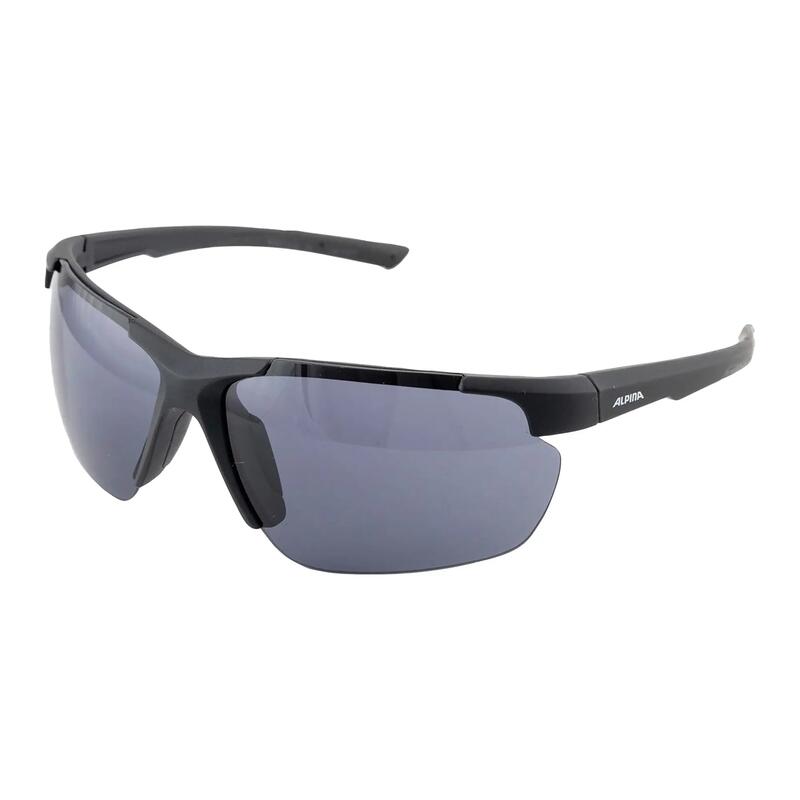 Ochelari de soare Alpina Defey HR