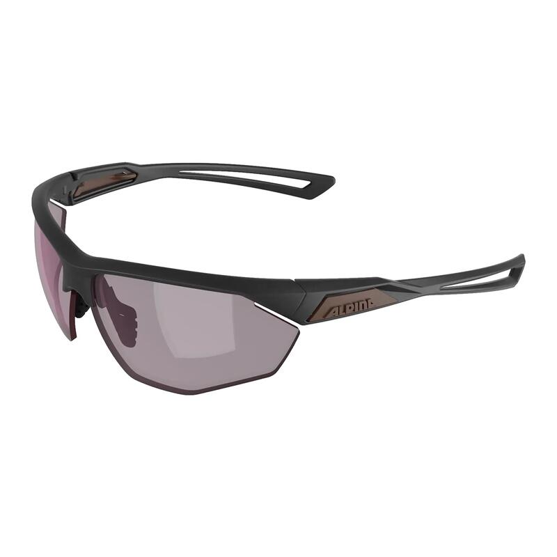 Ochelari de soare Alpina Nylos HR
