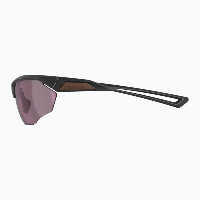Ochelari de soare Alpina Nylos HR