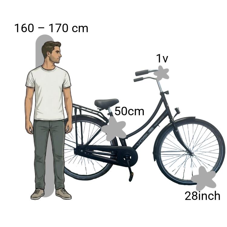 Bicicleta usada Vogue Elite 2/4