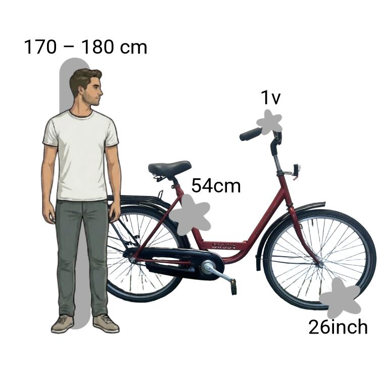 De segunda mano Batavus Personal Bike 2/4