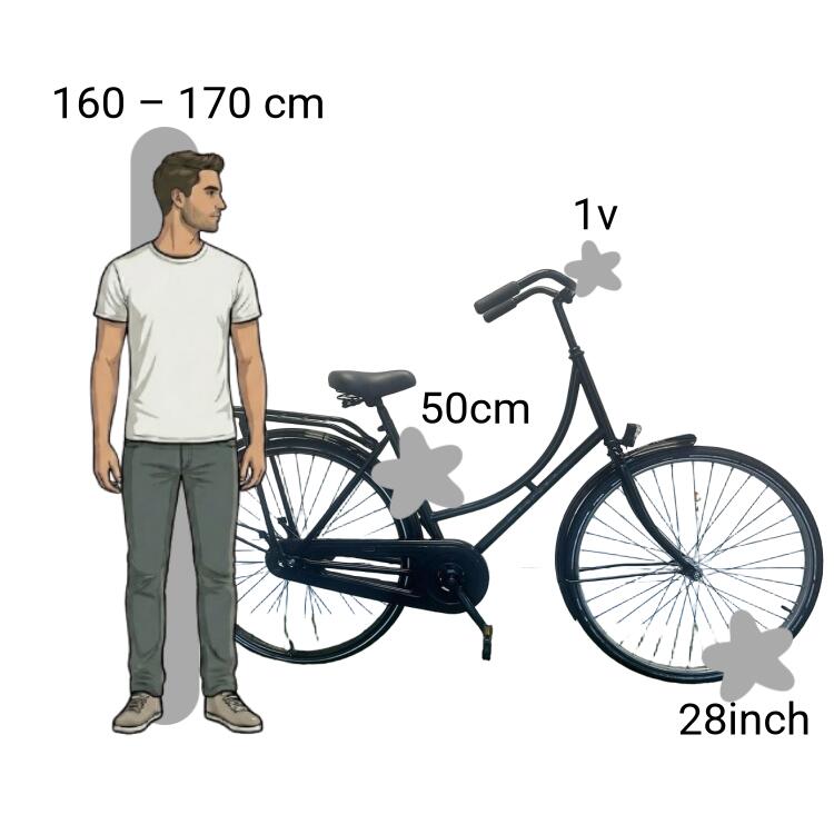 Vélo d’occasion BSP 2/4