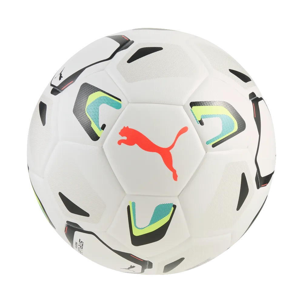 PUMA picture