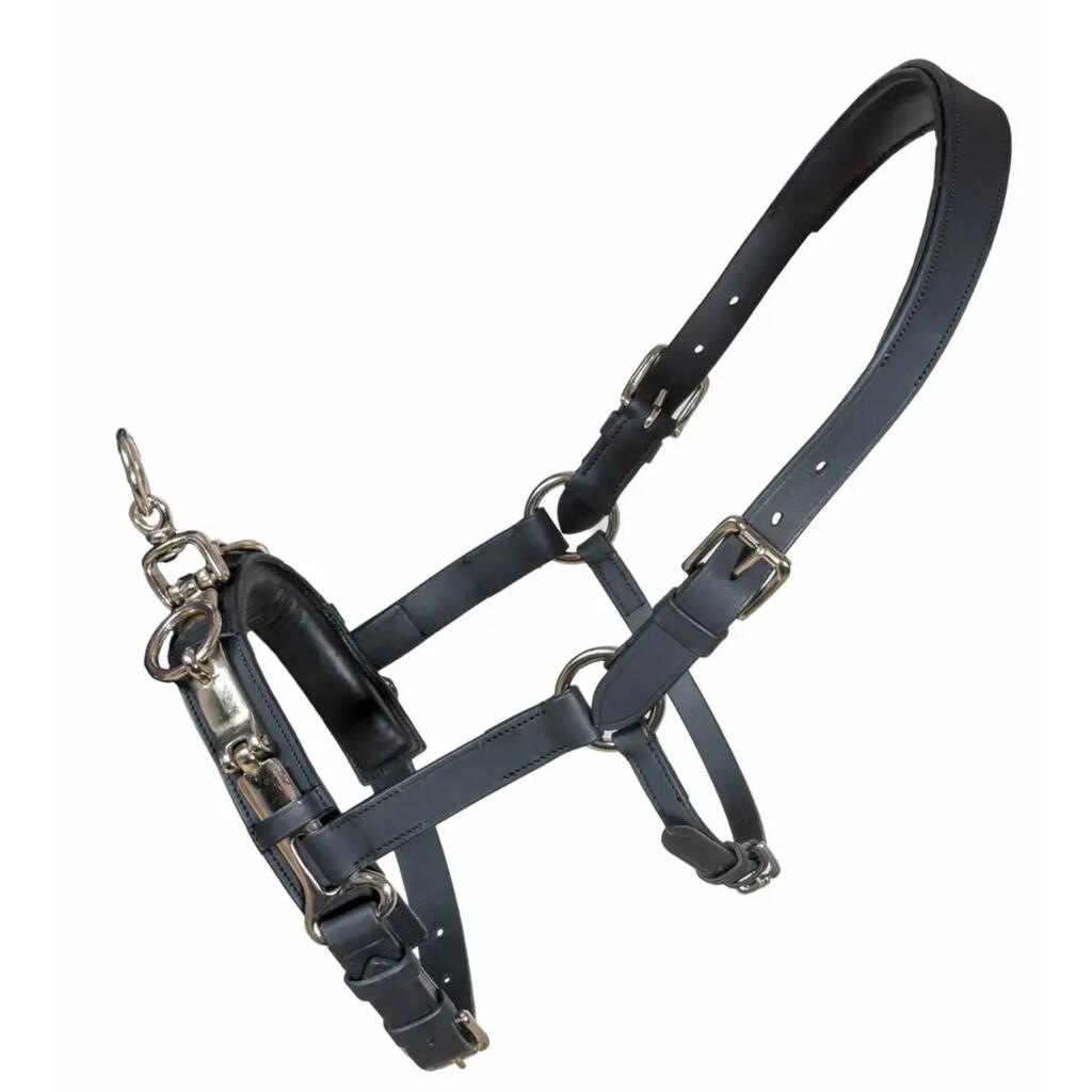 Halter for horse Karlslund Fengur Kapsun