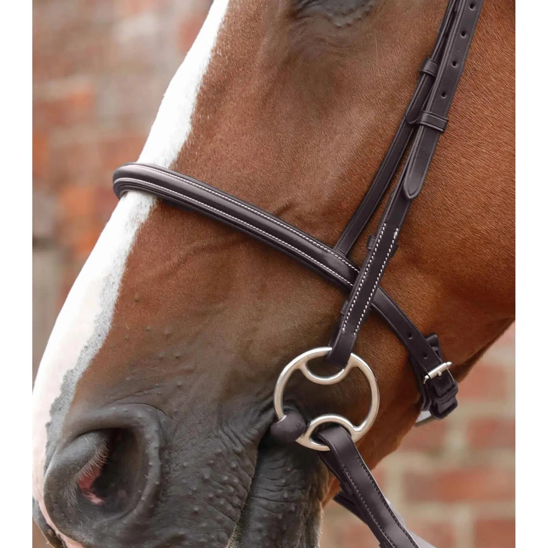 Bridon Premier Equine Mossimo 3/4