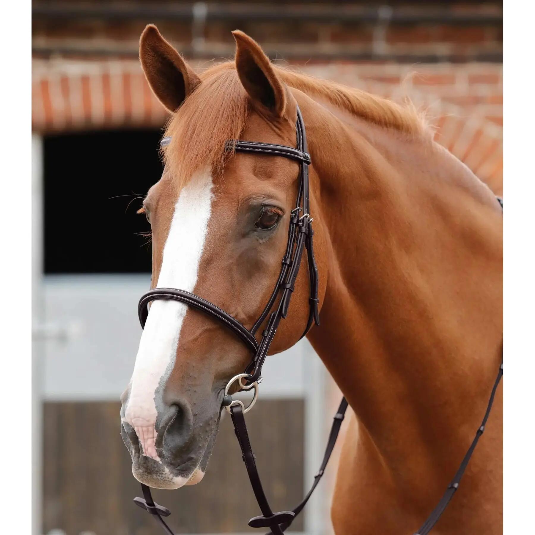 Bridon Premier Equine Mossimo 2/4