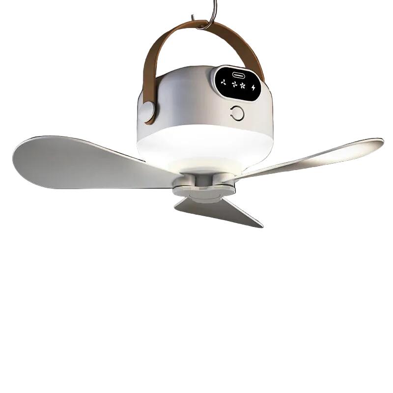 Portable Rechargeable Ceiling Canopy Fan