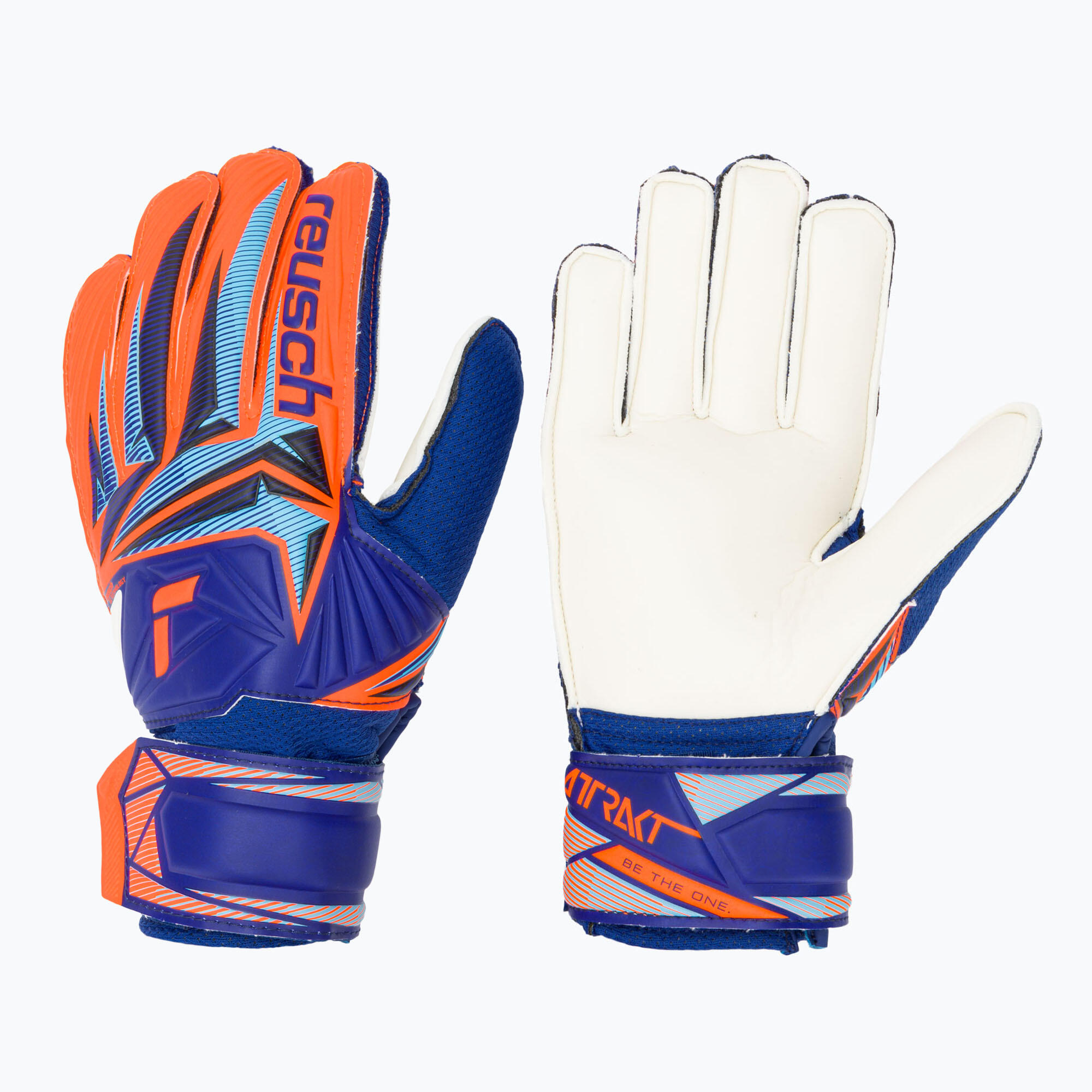 REUSCH picture