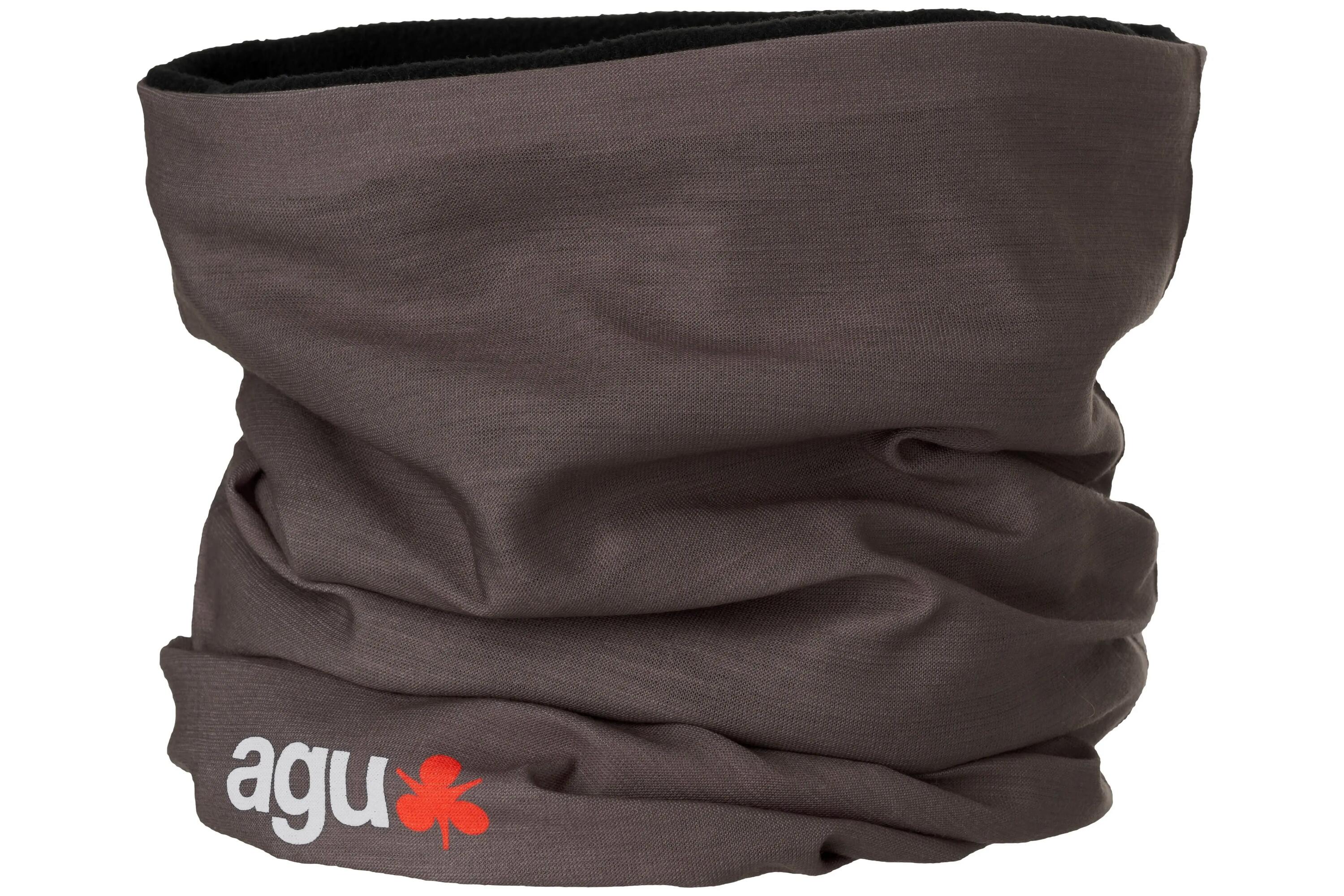 AGU picture