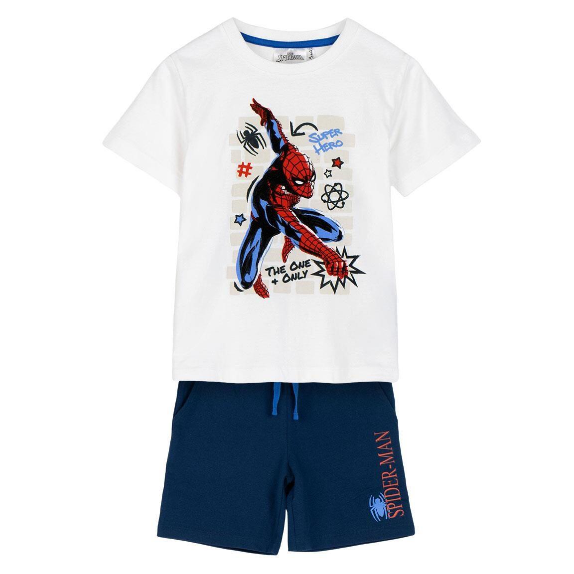 SPIDERMAN picture