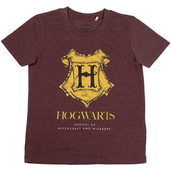 Ensemble deux pièces Harry Potter pour enfant, en molleton bordeaux et gris. 2/7