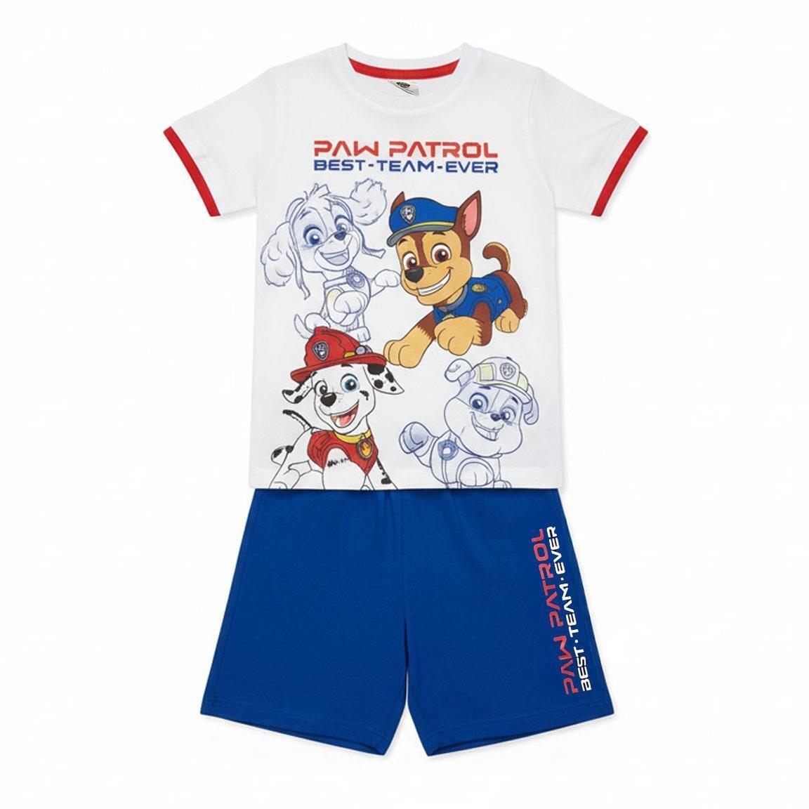 PAW PATROL picture