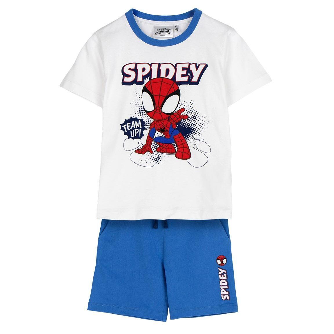 SPIDEY AND HIS AMAZING FRIENDS picture