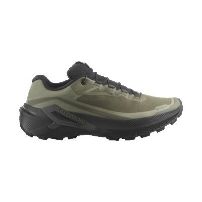 Schoenen trailrunning mannen genesis 2 gore-tex