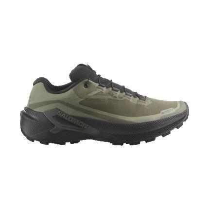 Chaussures Trail running Homme GENESIS 2 GTX