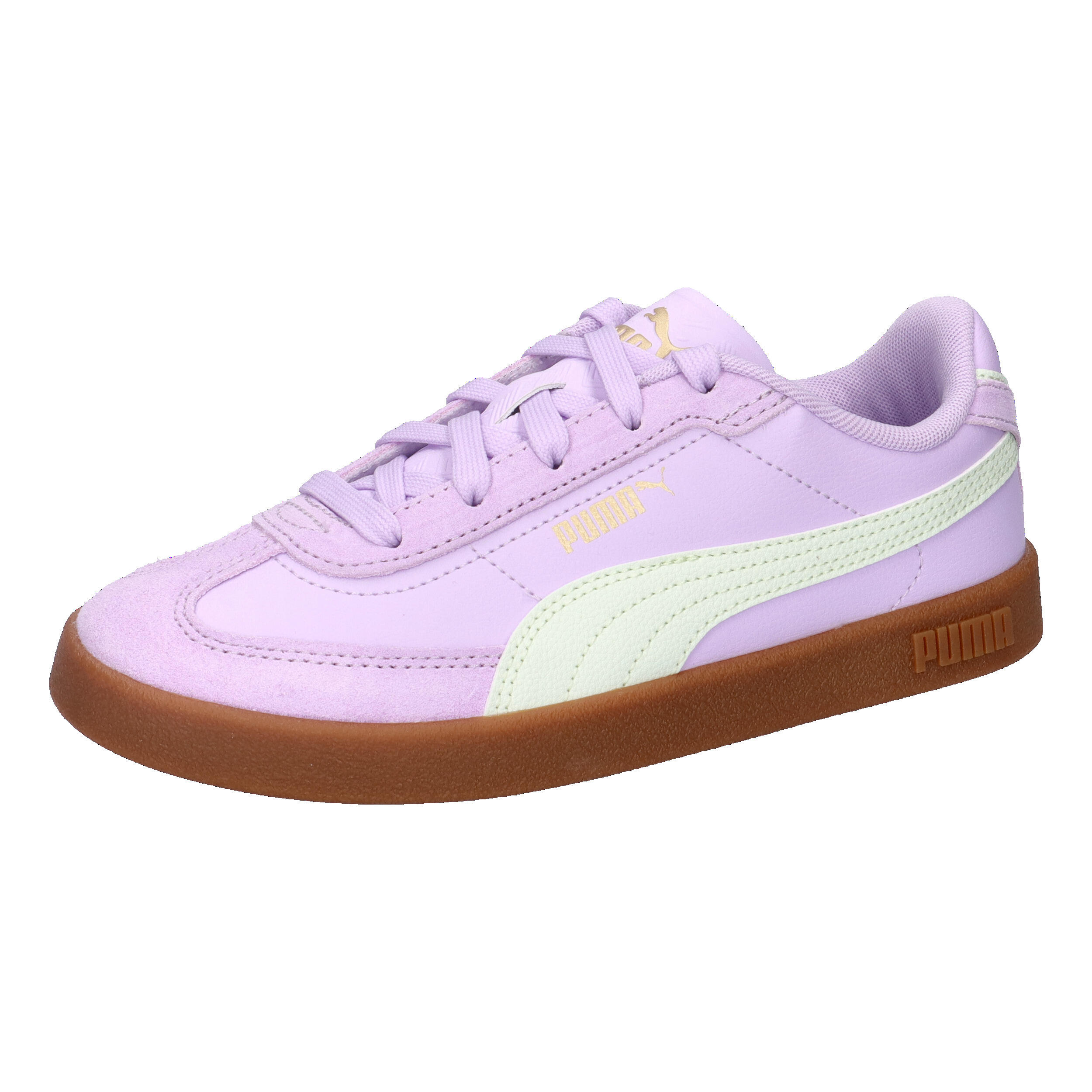 PUMA picture