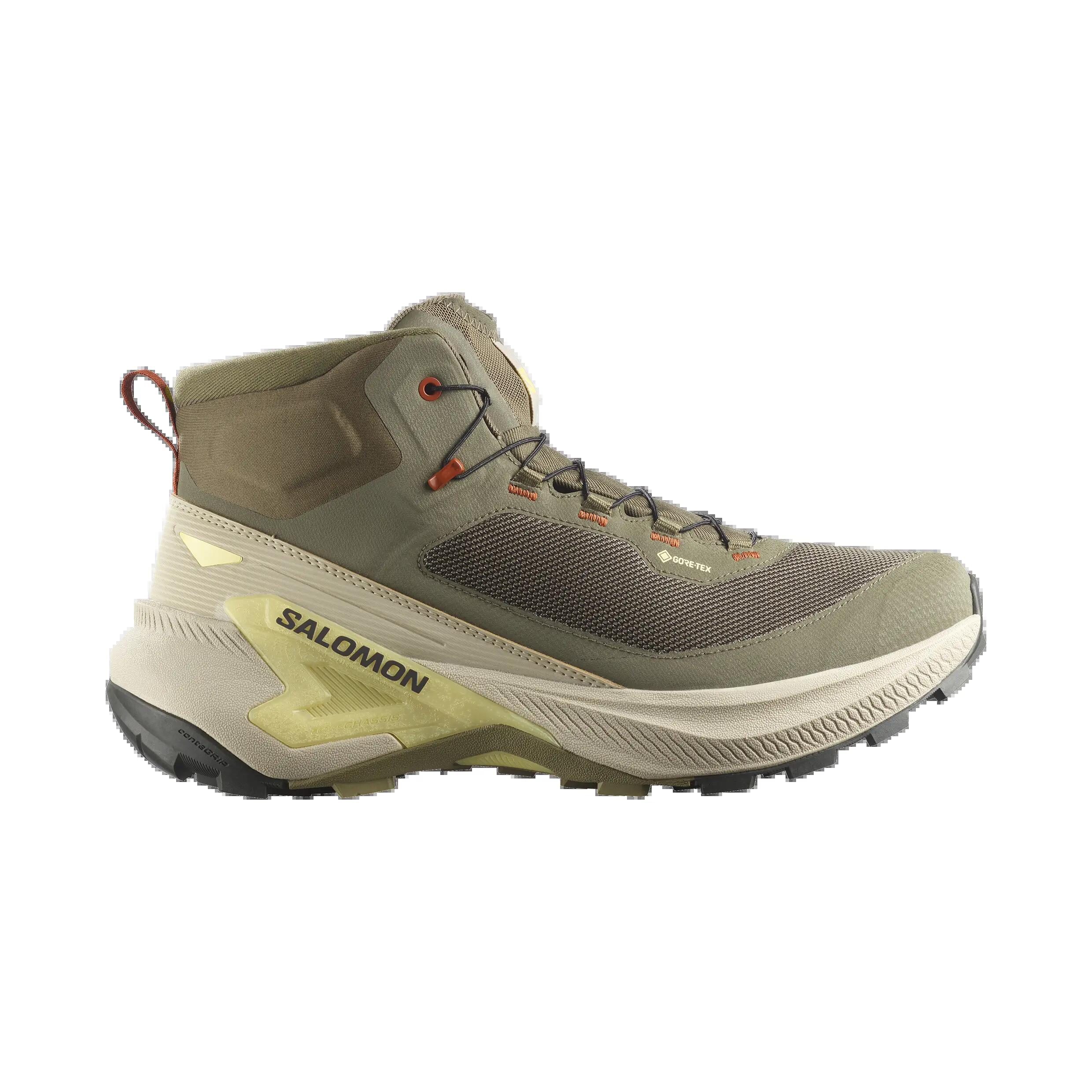 SALOMON picture