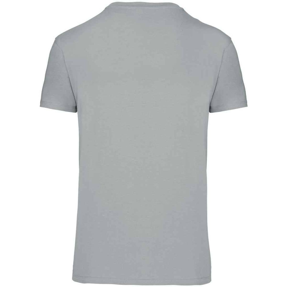 Tshirt BIO150IC Homme (Gris Neige) 2/3