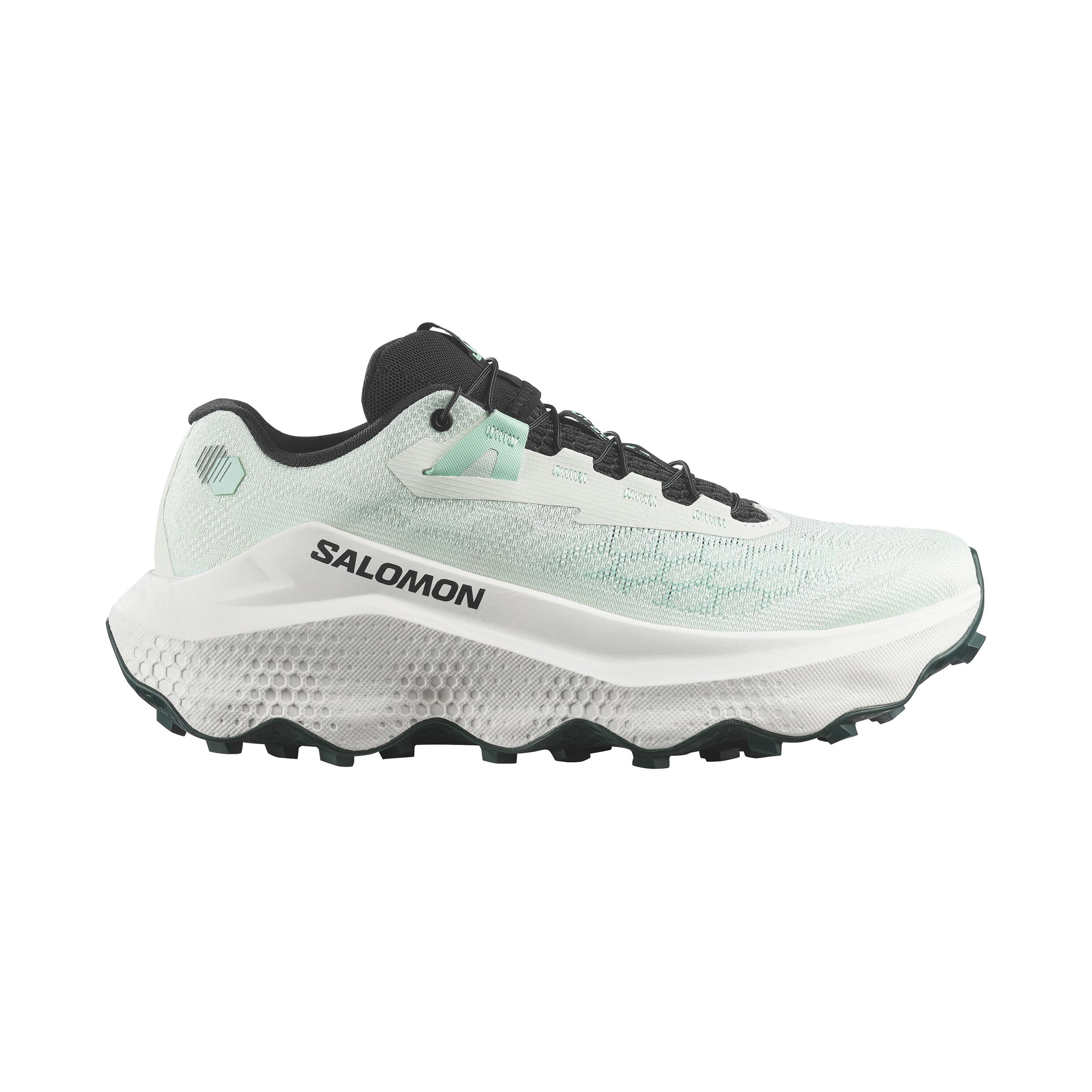 SALOMON picture