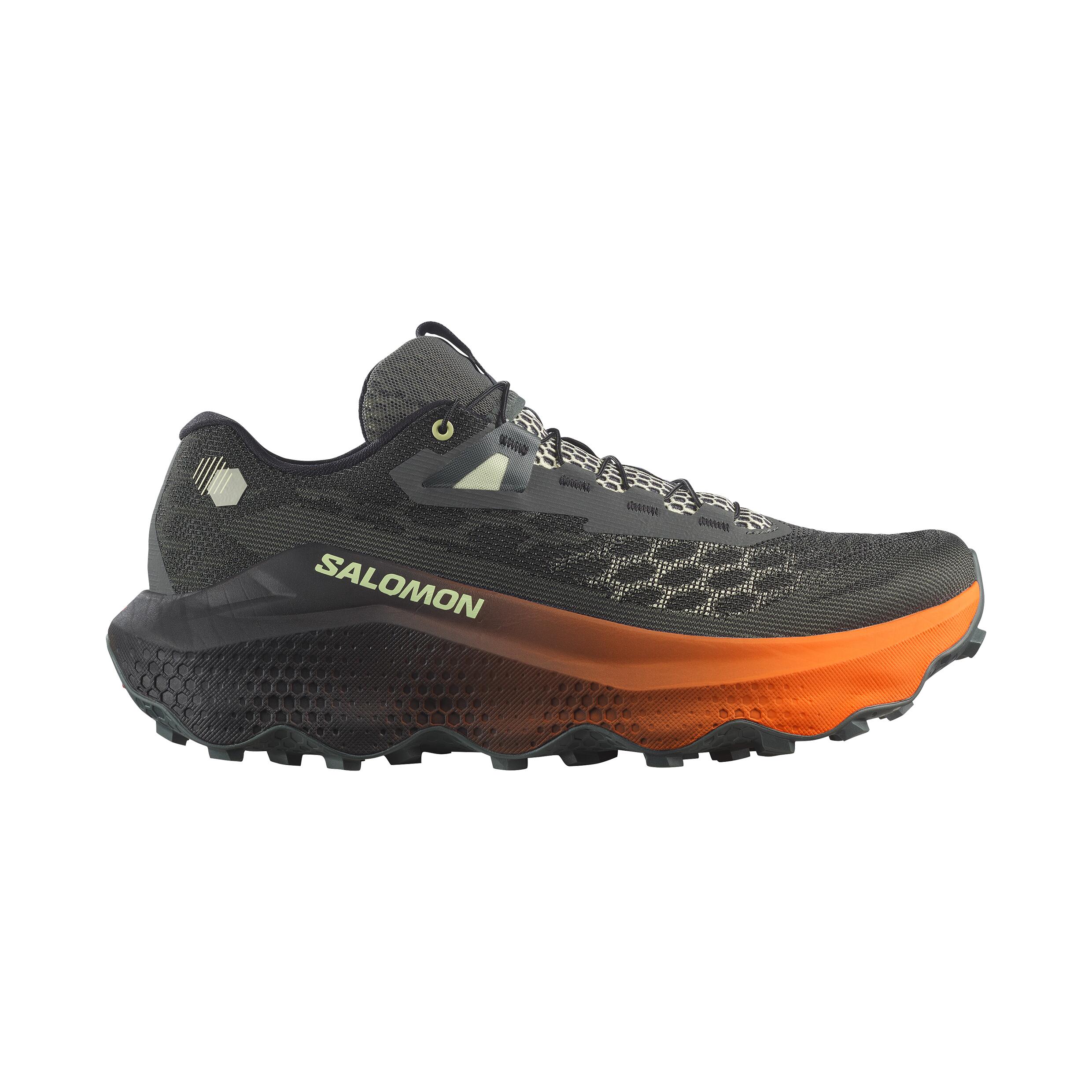 SALOMON picture