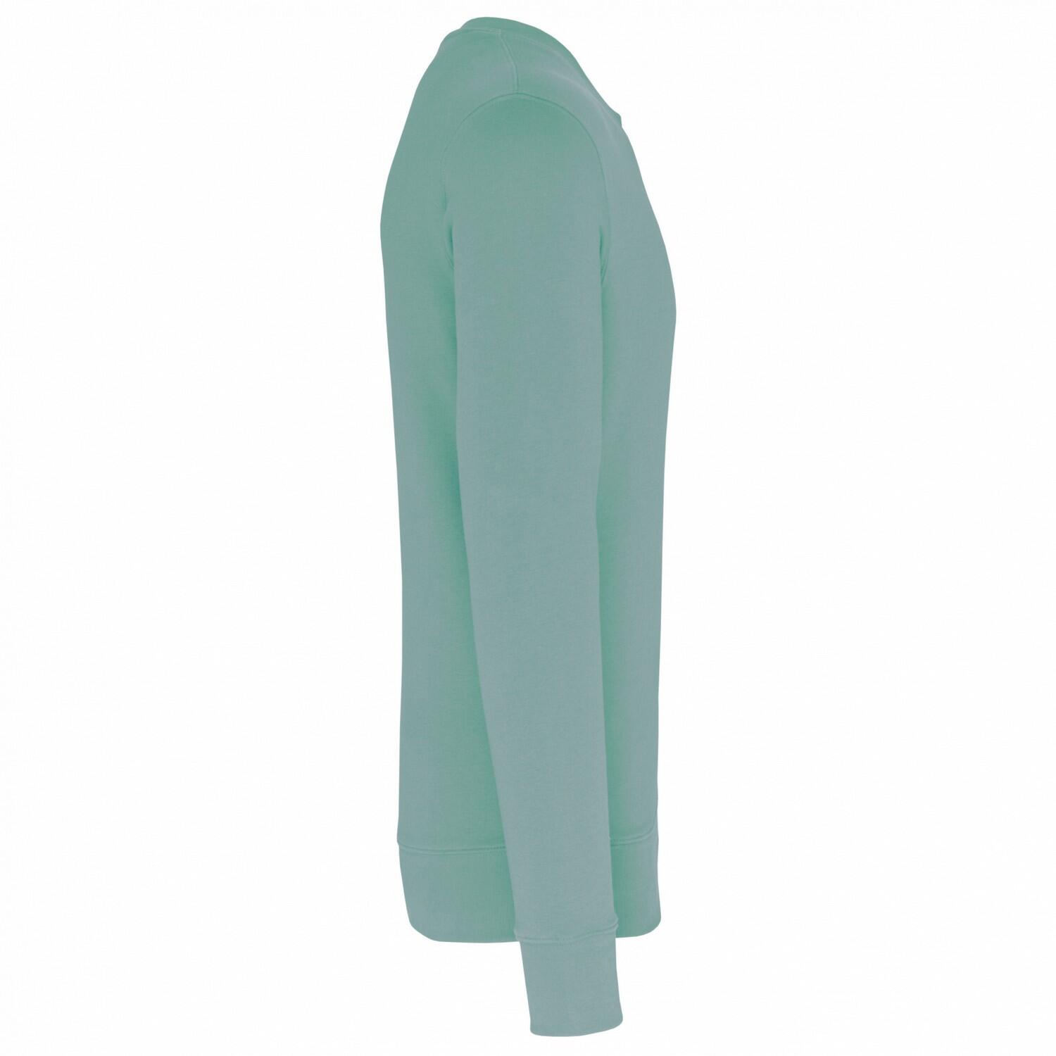Sweat Adulte (Vert De Gris) 3/3