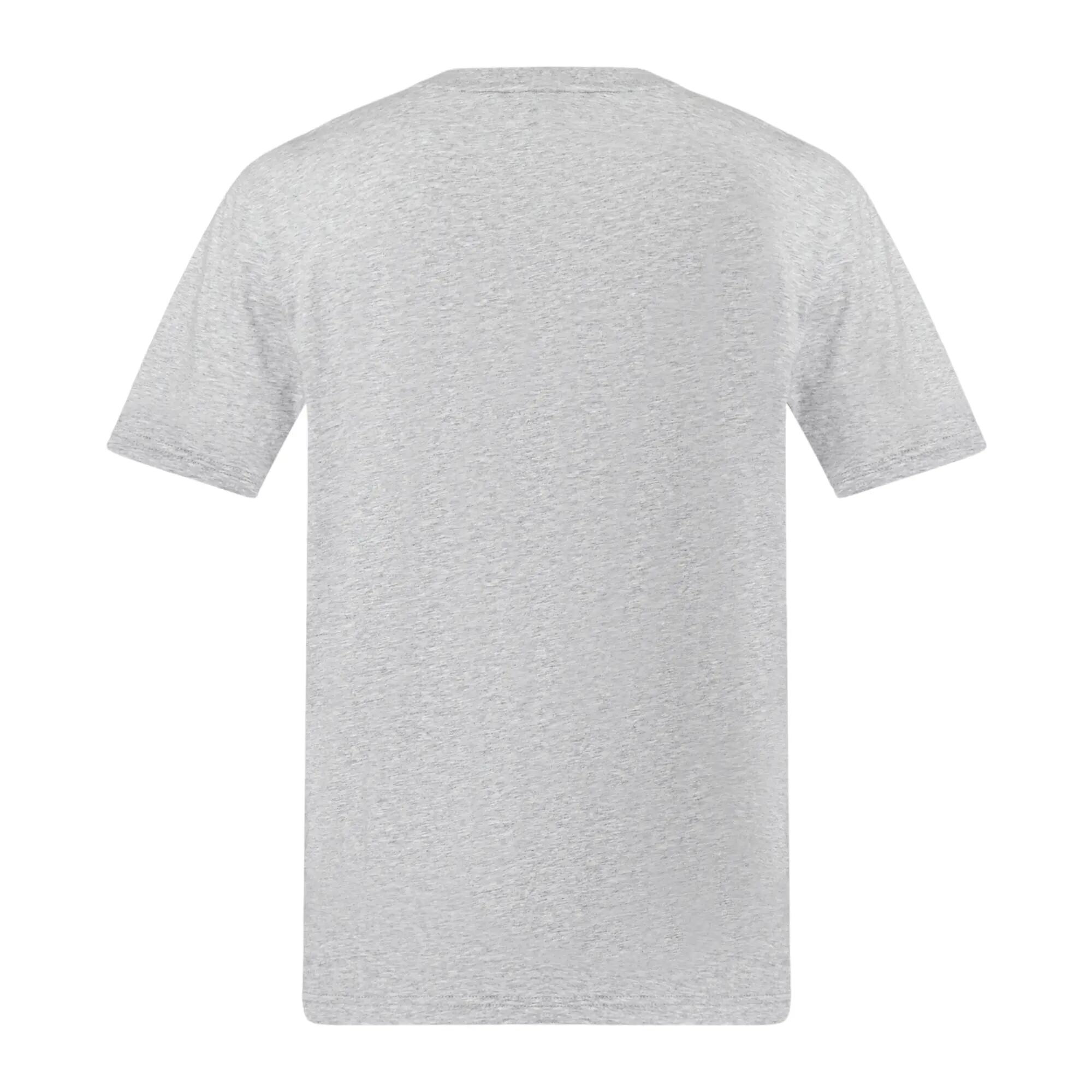 Maglietta Logo Uomo Canterbury Uglies Grigio 2/2