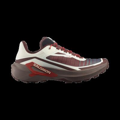 Schoenen trailrunning mannen genesis 2
