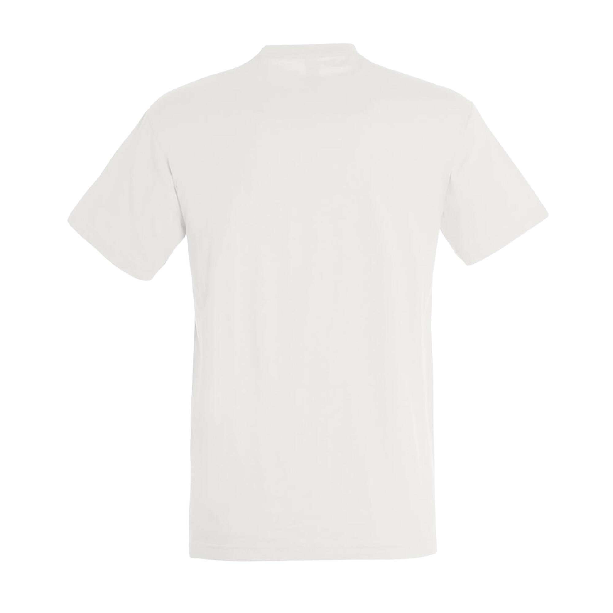 Tshirt Uni Manches Courtes REGENT Homme (Blanc Cassé) 2/4