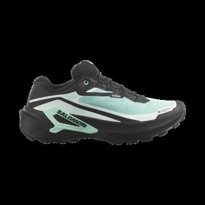 Schoenen trailrunning vrouwen genesis 2 gore-tex