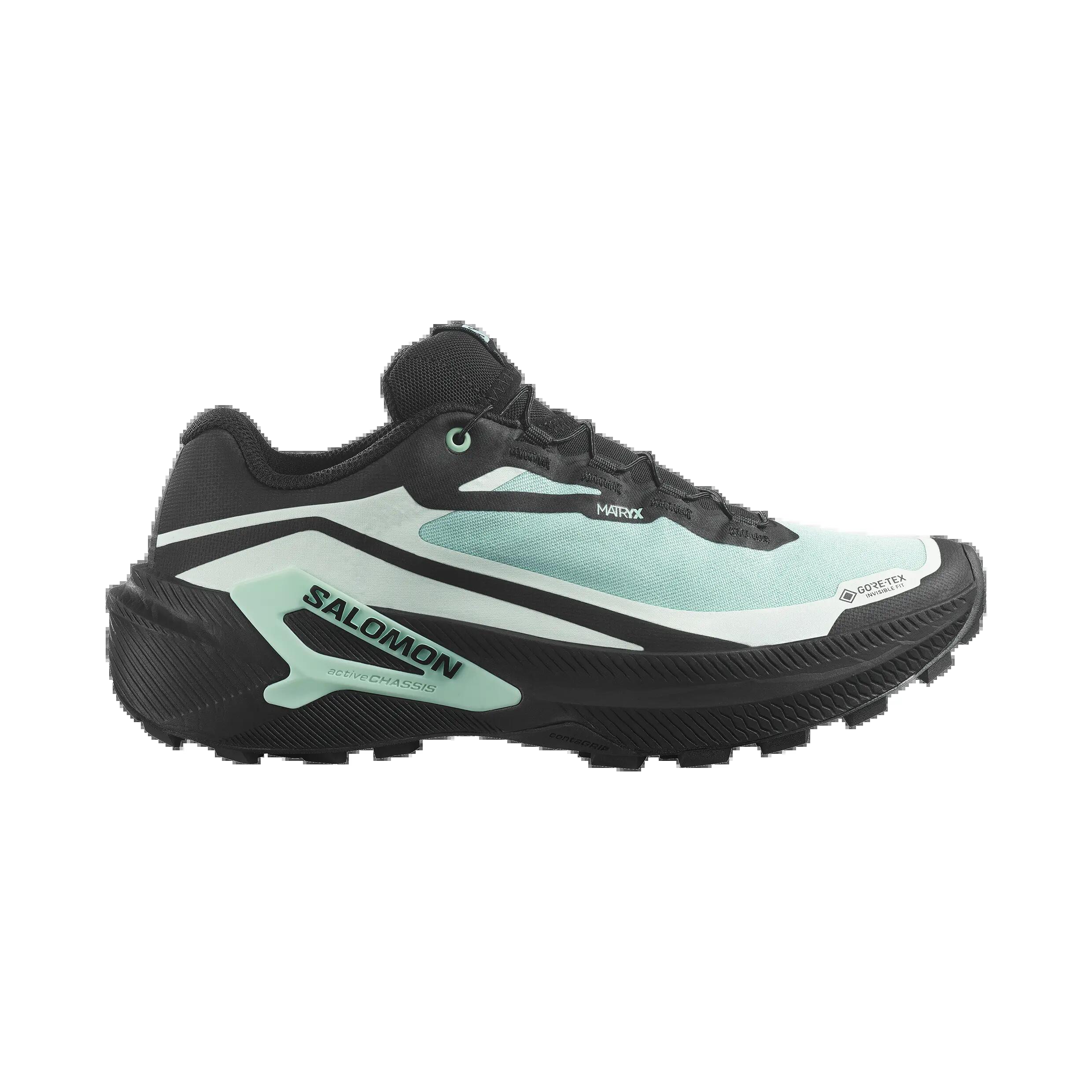 SALOMON picture