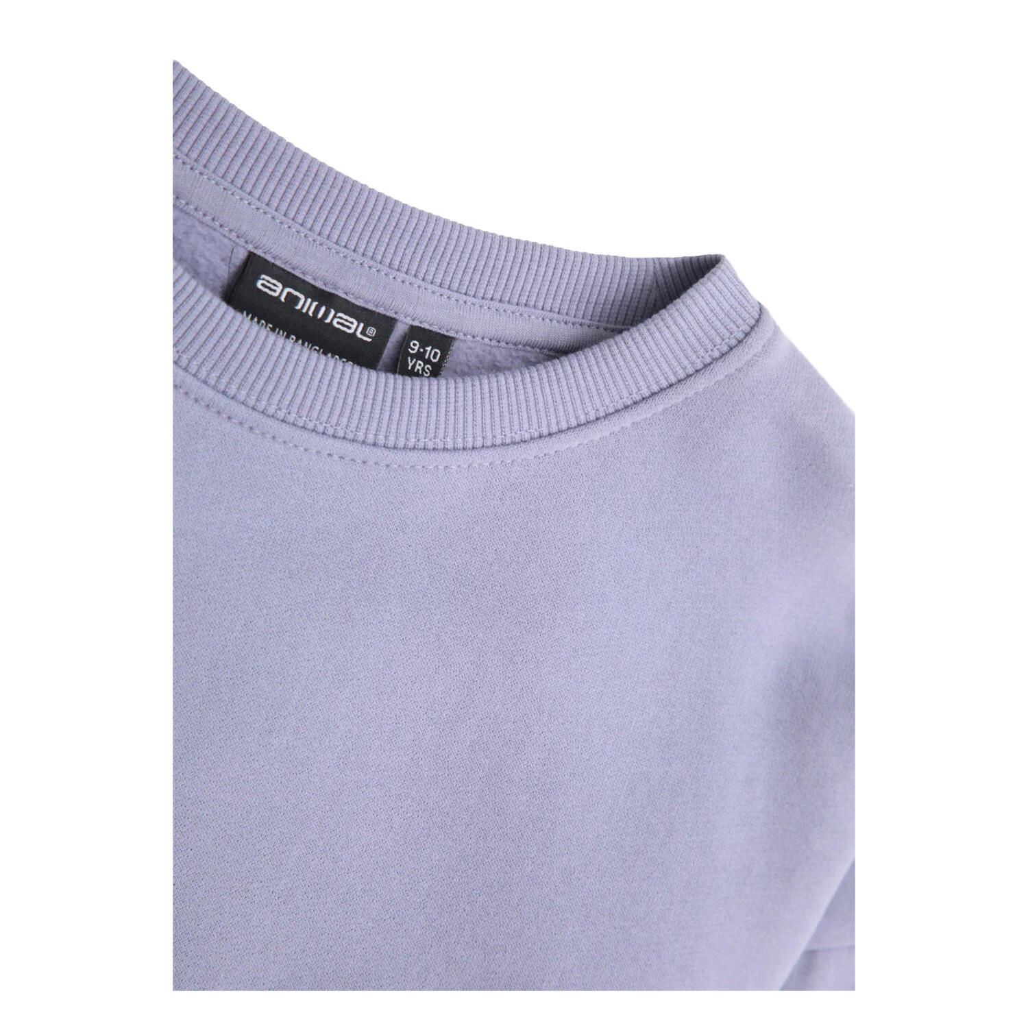 Childrens/Kids Sweatshirt (Blue) 3/3