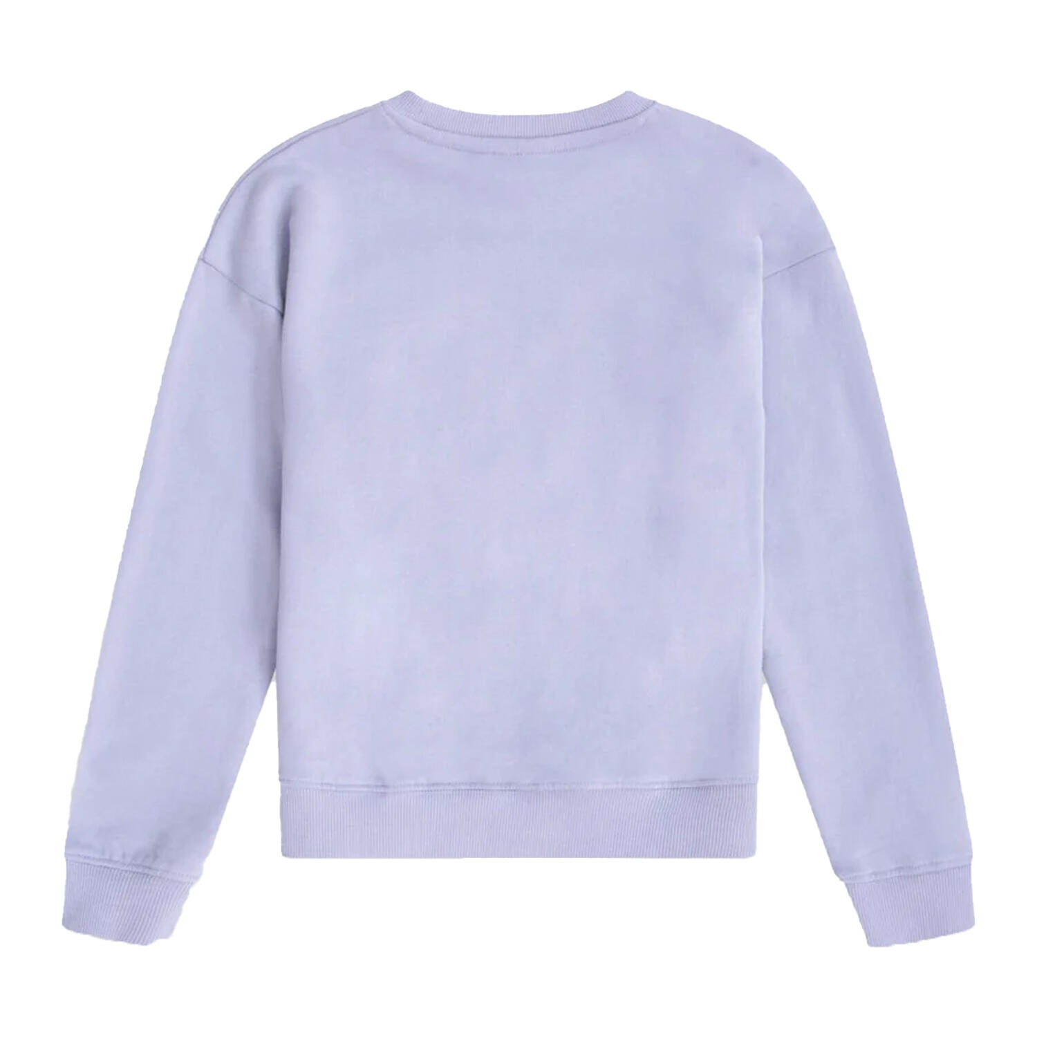 Childrens/Kids Sweatshirt (Blue) 2/3