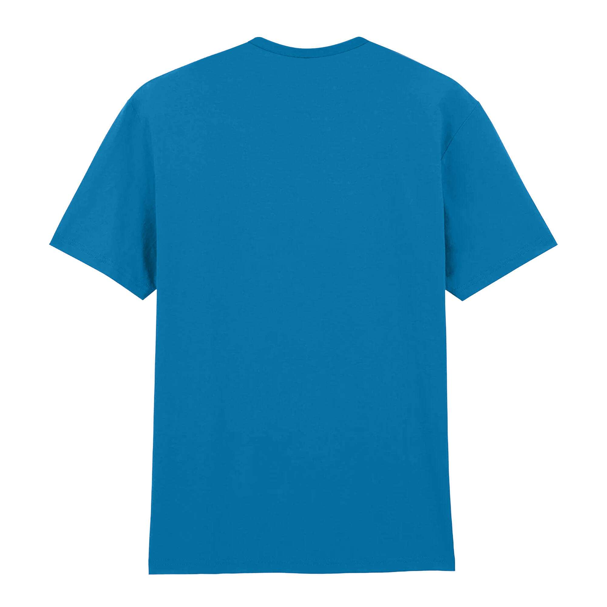Mens Plain Lightweight TShirt (Sapphire) 2/3