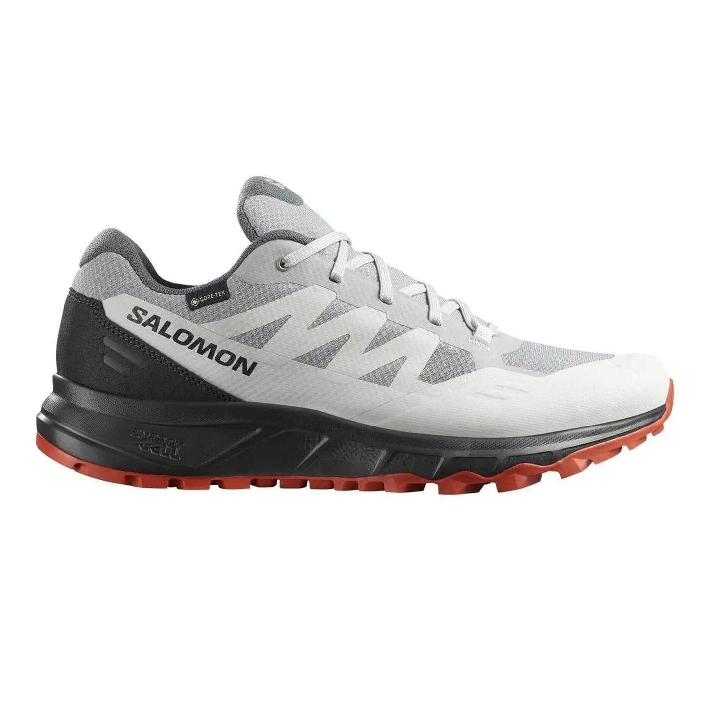 SALOMON picture