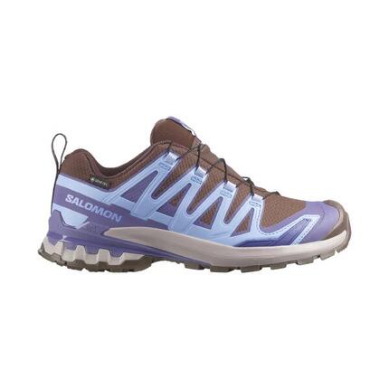 Damen Trailrunning Schuhe XA PRO 3D V9 GORE-TEX