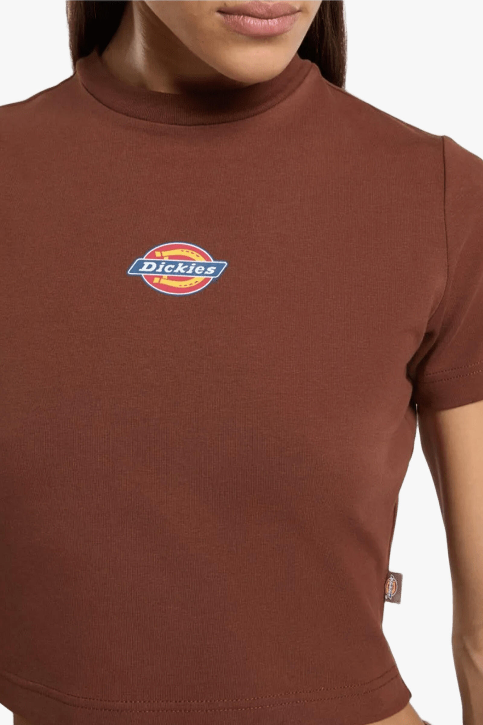 Dickies Camiseta Maple Valley Marrón 5/5